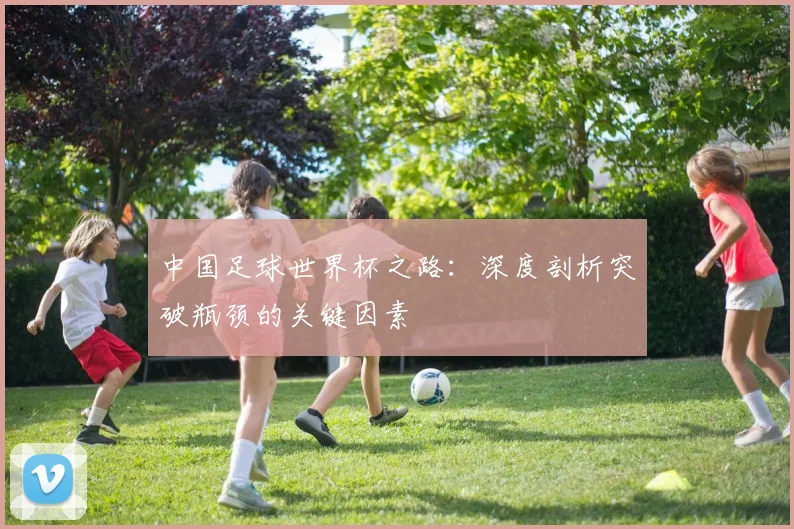 中国足球世界杯之路:深度剖析突破瓶颈的关键因素