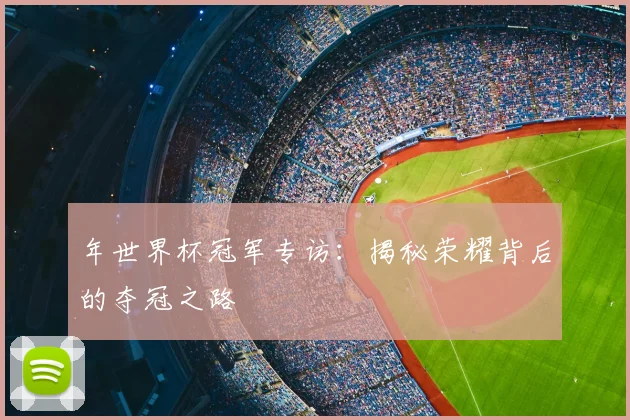 年世界杯冠军专访：揭秘荣耀背后的夺冠之路