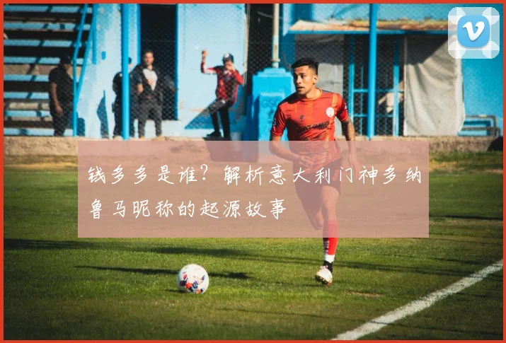 钱多多是谁？解析意大利门神多纳鲁马昵称的起源故事