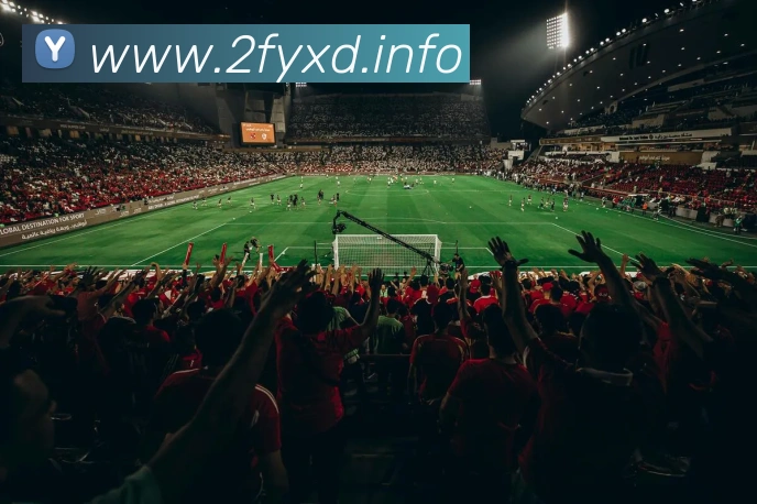 九游官网app平台生态图