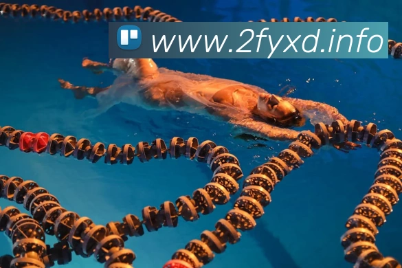 九游官网appAPP 封面图